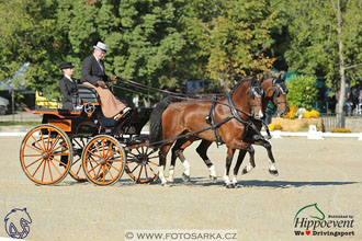 MS 2 Lipica 2017 - drezury