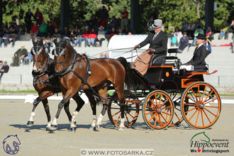 MS 2 Lipica 2017 - drezury