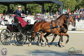 MS 2 Lipica 2017 - drezury