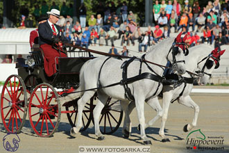 MS 2 Lipica 2017 - drezury