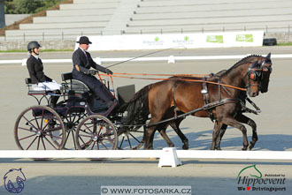 MS 2 Lipica 2017 - drezury