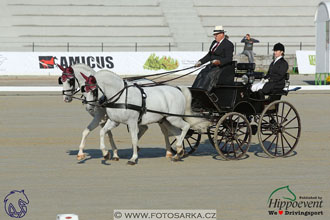 MS 2 Lipica 2017 - drezury