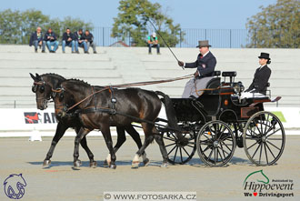 MS 2 Lipica 2017 - drezury