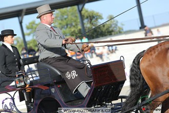 MS 2 Lipica 2017 - drezury