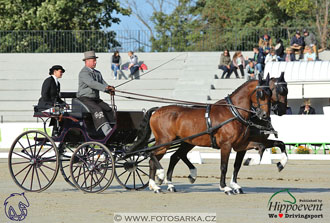 MS 2 Lipica 2017 - drezury