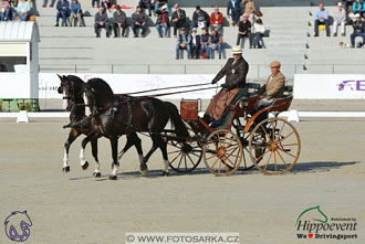 MS 2 Lipica 2017 - drezury