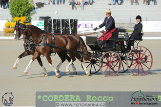 MS 2 Lipica 2017 - drezury