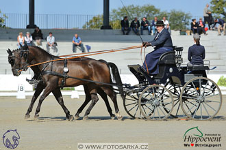 MS 2 Lipica 2017 - drezury