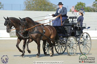 MS 2 Lipica 2017 - drezury