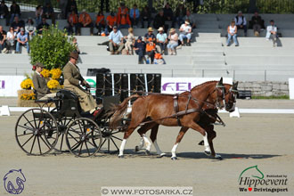 MS 2 Lipica 2017 - drezury