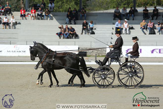 MS 2 Lipica 2017 - drezury