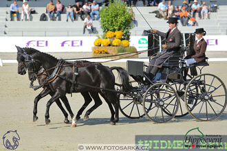 MS 2 Lipica 2017 - drezury