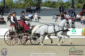 MS 2 Lipica 2017 - drezury