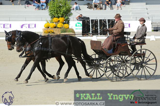 MS 2 Lipica 2017 - drezury