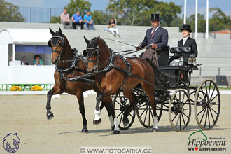 MS 2 Lipica 2017 - drezury