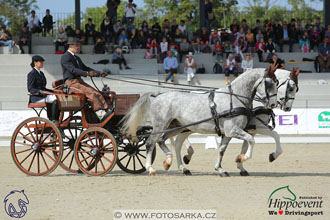 MS 2 Lipica 2017 - drezury