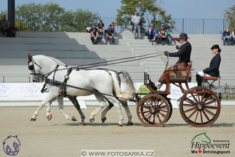 MS 2 Lipica 2017 - drezury