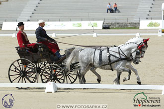 MS 2 Lipica 2017 - drezury