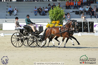 MS 2 Lipica 2017 - drezury