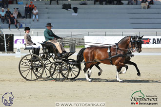 MS 2 Lipica 2017 - drezury