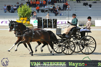 MS 2 Lipica 2017 - drezury