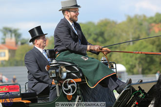 MS 2 Lipica 2017 - drezury