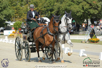 MS 2 Lipica 2017 - drezury