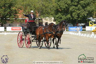 MS 2 Lipica 2017 - drezury