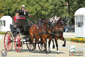 MS 2 Lipica 2017 - drezury