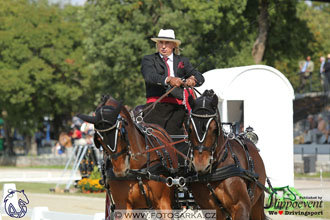 MS 2 Lipica 2017 - drezury