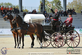 MS 2 Lipica 2017 - drezury