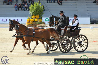 MS 2 Lipica 2017 - drezury