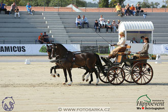 MS 2 Lipica 2017 - drezury