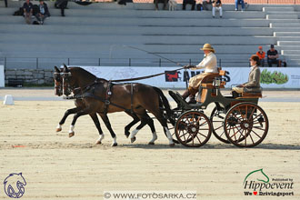 MS 2 Lipica 2017 - drezury