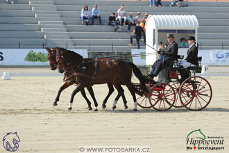 MS 2 Lipica 2017 - drezury