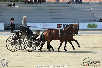 MS 2 Lipica 2017 - drezury