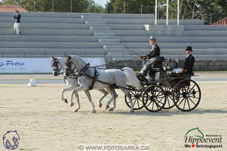 MS 2 Lipica 2017 - drezury