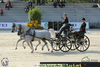 MS 2 Lipica 2017 - drezury