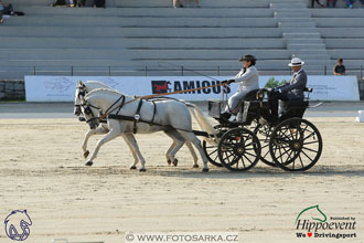 MS 2 Lipica 2017 - drezury