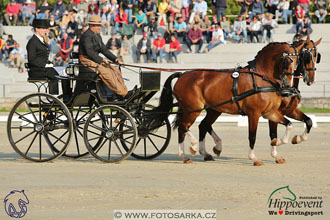 MS 2 Lipica 2017 - drezury