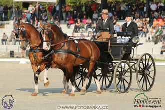 MS 2 Lipica 2017 - drezury