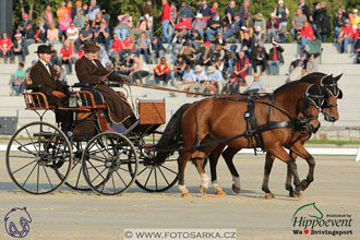 MS 2 Lipica 2017 - drezury