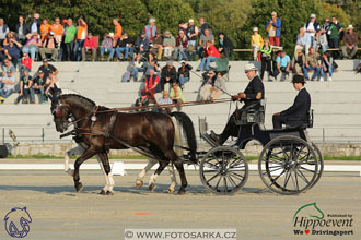 MS 2 Lipica 2017 - drezury