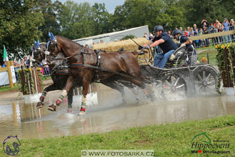 MS 2 Lipica 2017 - maraton