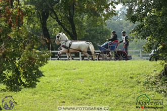 MS 2 Lipica 2017 - maraton