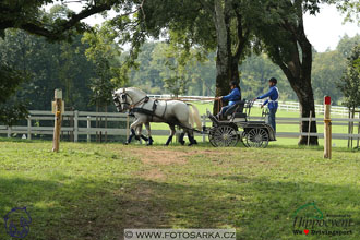 MS 2 Lipica 2017 - maraton