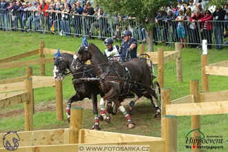 MS 2 Lipica 2017 - maraton