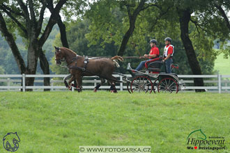 MS 2 Lipica 2017 - maraton