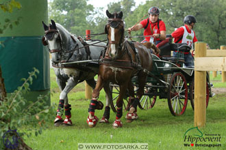 MS 2 Lipica 2017 - maraton