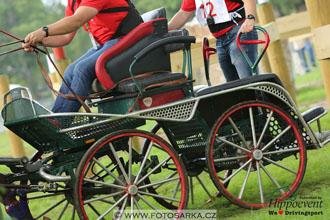 MS 2 Lipica 2017 - maraton